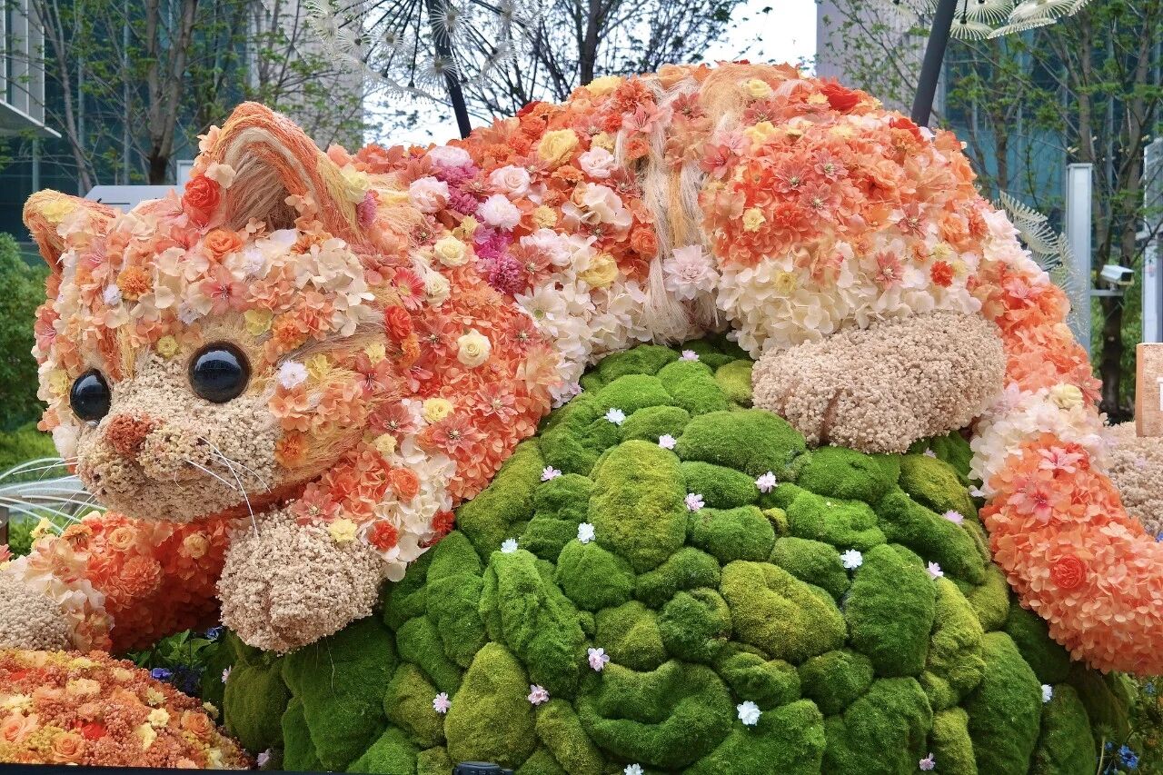 ماذا تشاهد في معرض شانغهاي الدولي للزهور 2026