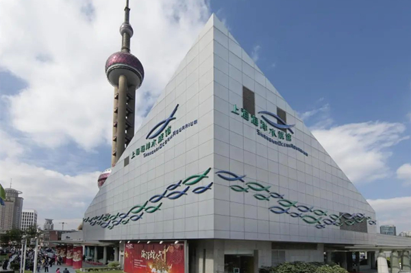 حوض أسماك المحيط في شانغهاي