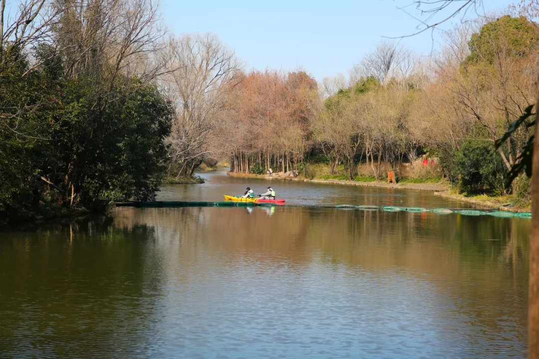 خمسة مسارات للمشي الخفيف في أوائل الربيع بشانغهاي