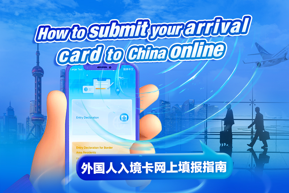 دليل تعبئة بطاقة الوصول عبر الإنترنت