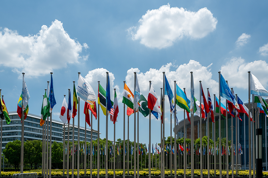 معرض الصين الدولي الثامن للاستيراد يحقق رقما قياسيا جديدا في حجم المشاركة