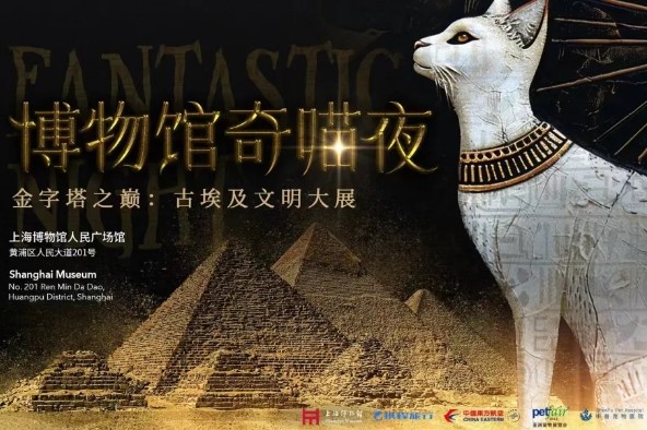 المتحف يقدم ليالي صديقة للقطط في المعرض المصري