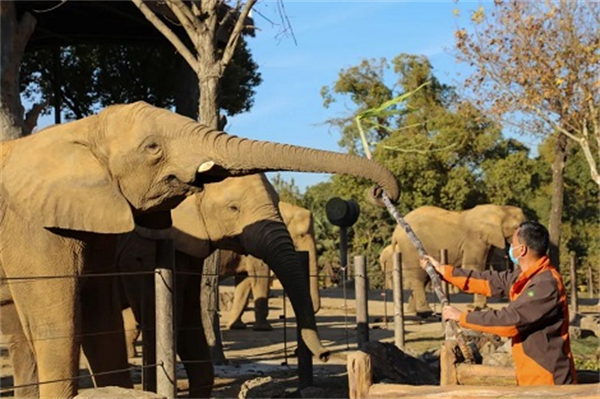 I Want To-Travel in Shanghai-Places to Go-Scenic Spots-Shanghai Wild Animal Park-3.jpg I Want To-Travel in Shanghai-Places to Go-Scenic Spots-Shanghai Wild Animal Park-3.jpg