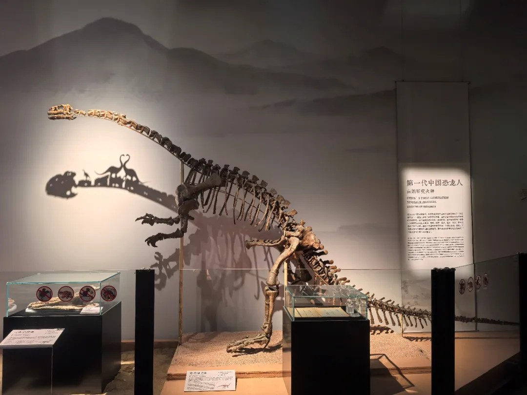 دليل معرض متاحف شانغهاي لعيد الربيع لعام الحصان