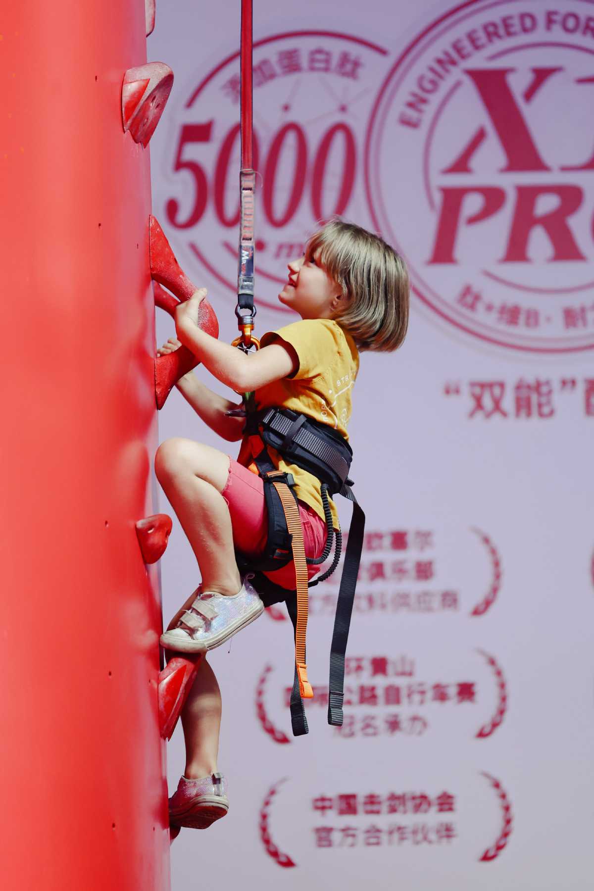 Fise7.jpeg