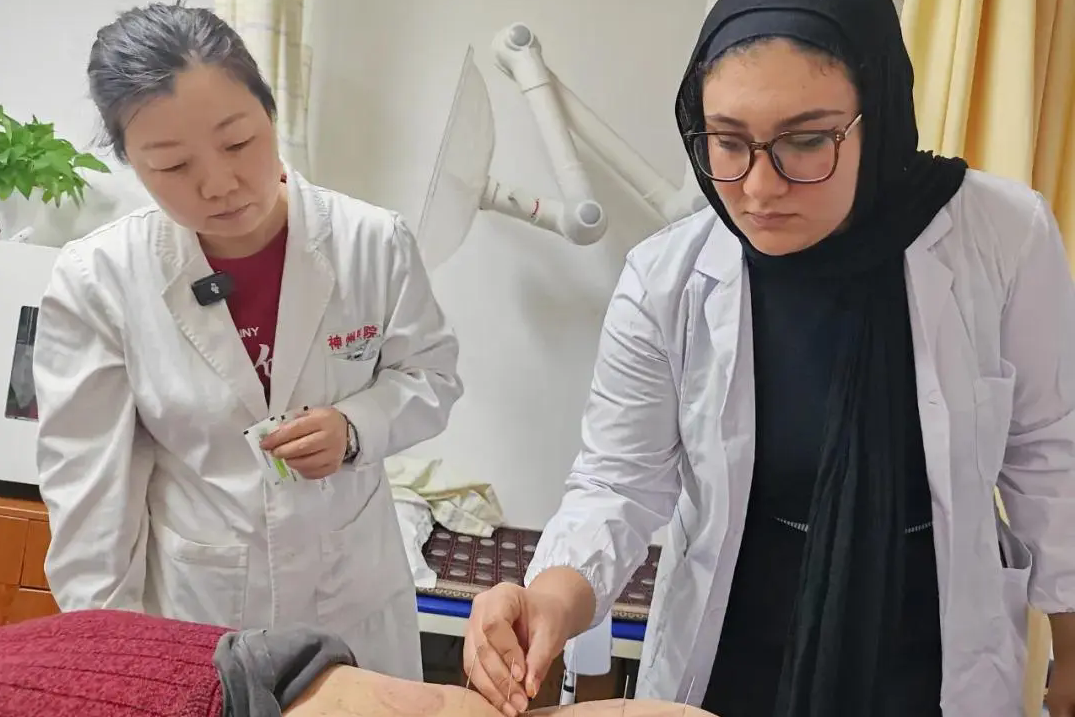 الطالبة المصرية تستكشف سحر الطب الصيني التقليدي