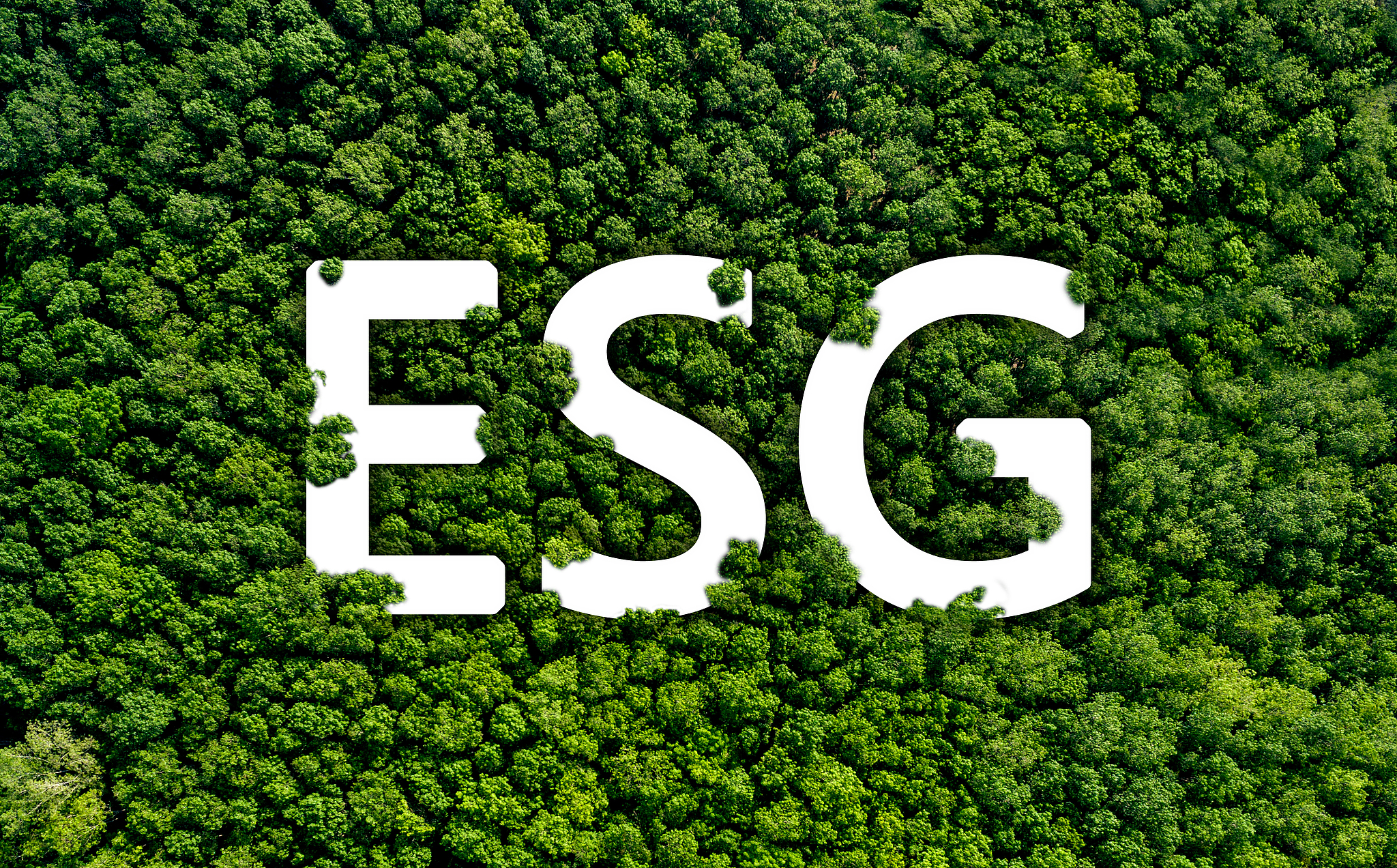 زيادة التركيز على ESG مفتاح التحول الأخضر