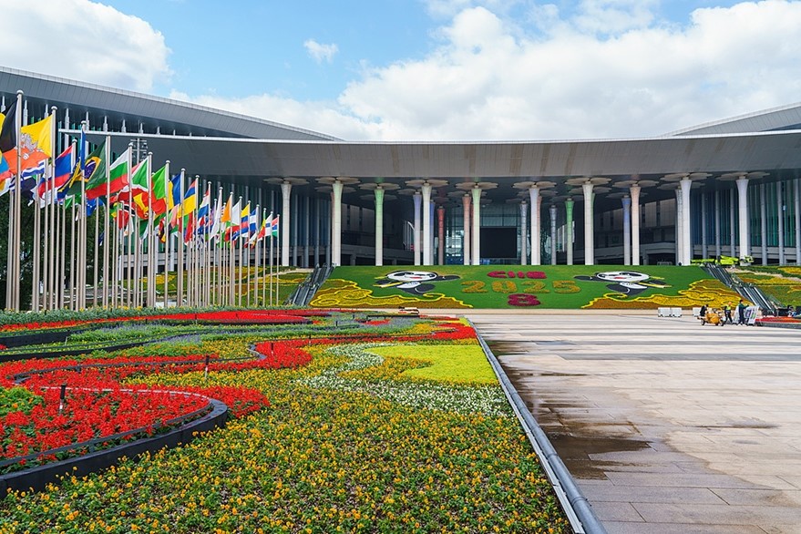 تسلية معرض الصين الدولي للاستيراد: عودة مهرجان السلع المستوردة