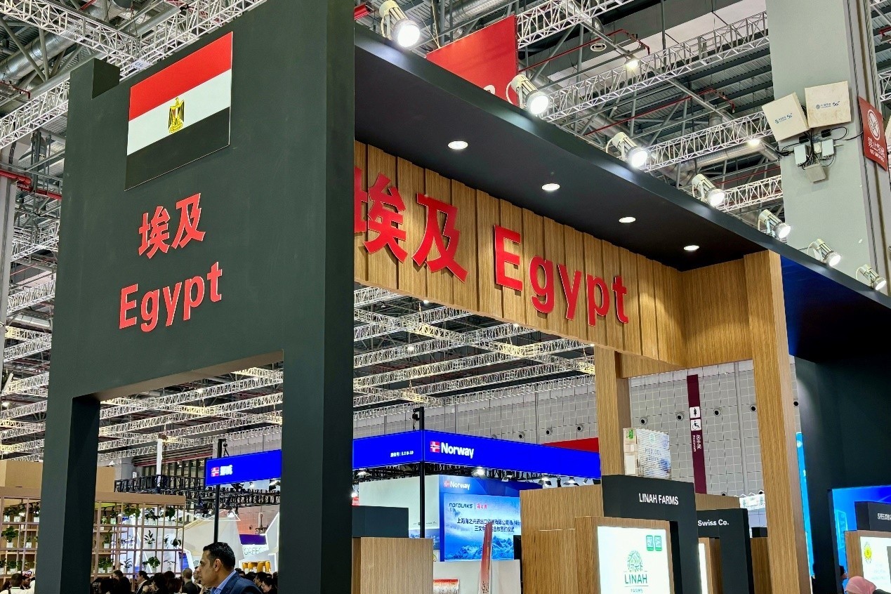 埃及.jpg