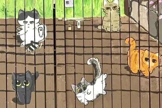 ملاذ للقطط الضالة: استكشف جزيرة القطط في شانغهاي